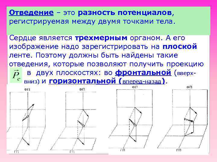 Отведение – это разность потенциалов, регистрируемая между двумя точками тела. Сердце является трехмерным органом.