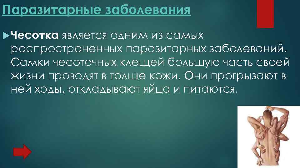 Паразитарные заболевания Чесотка является одним из самых распространенных паразитарных заболеваний. Самки чесоточных клещей большую