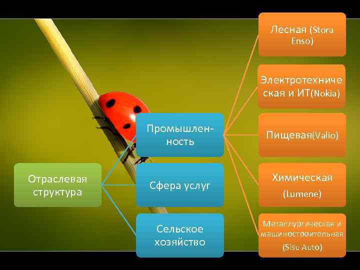 Лесная (Stora Enso) Электротехниче ская и ИТ(Nokia) Промышленность Отраслевая структура Сфера услуг Сельское хозяйство