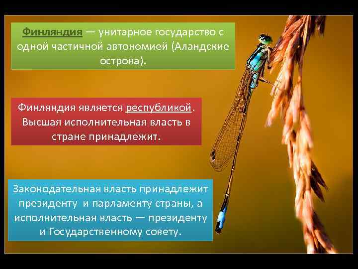 Финляндия — унитарное государство с одной частичной автономией (Аландские острова). Финляндия является республикой. Высшая