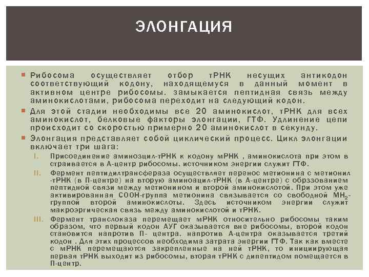 ЭЛОНГАЦИЯ Рибосома осуществляет отбор т. РНК несущих антикодон соответствующий кодону, находящемуся в данный момент