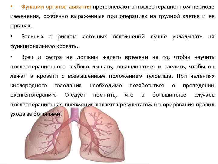  • Функции органов дыхания претерпевают в послеоперационном периоде изменения, особенно выраженные при операциях