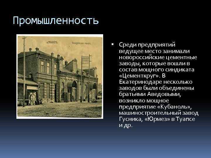 Промышленность Среди предприятий ведущее место занимали новороссийские цементные заводы, которые вошли в состав мощного