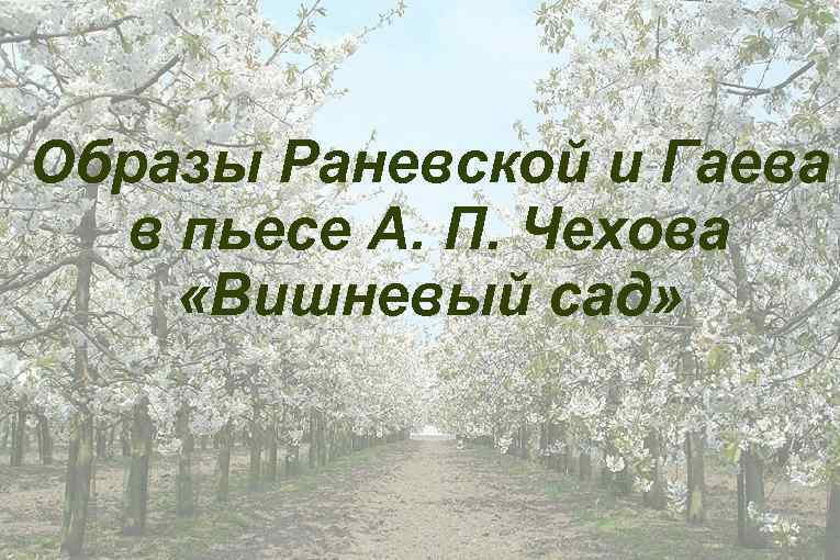 Образы Раневской и Гаева в пьесе А. П. Чехова «Вишневый сад» 