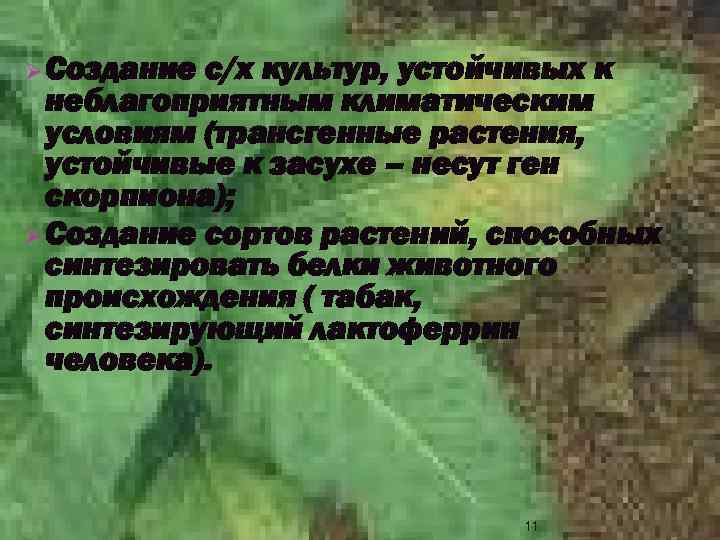 Ø Создание с/х культур, устойчивых к неблагоприятным климатическим условиям (трансгенные растения, устойчивые к засухе