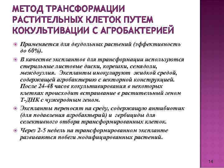 МЕТОД ТРАНСФОРМАЦИИ РАСТИТЕЛЬНЫХ КЛЕТОК ПУТЕМ КОКУЛЬТИВАЦИИ С АГРОБАКТЕРИЕЙ Применяется для двудольных растений (эффективность до