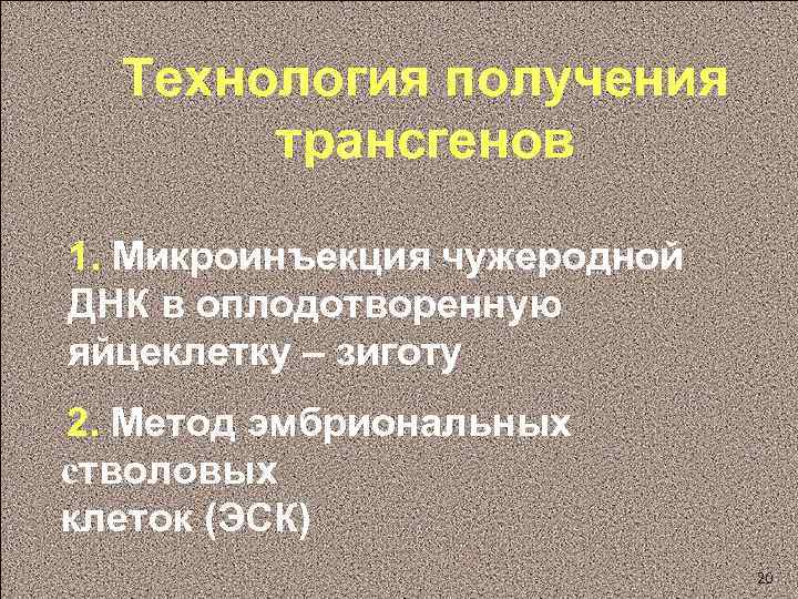 Технология получения трансгенов 1. Микроинъекция чужеродной ДНК в оплодотворенную яйцеклетку – зиготу 2. Метод