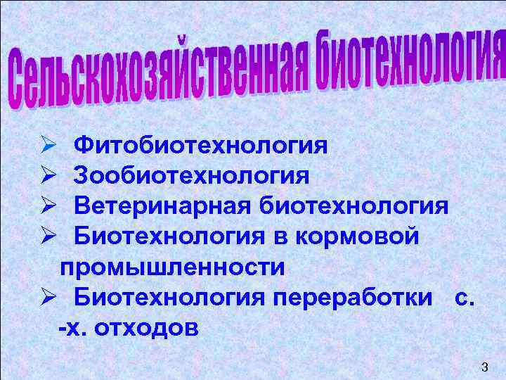 Ø Ø Фитобиотехнология Зообиотехнология Ветеринарная биотехнология Биотехнология в кормовой промышленности Ø Биотехнология переработки с.