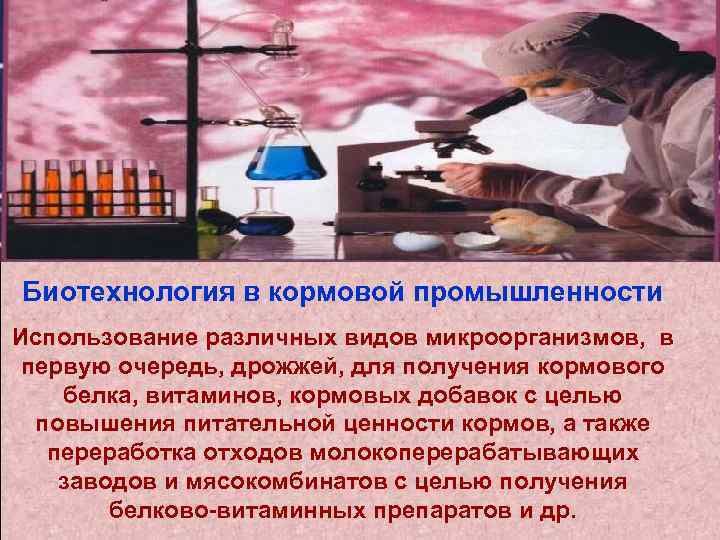 Биотехнология в кормовой промышленности Использование различных видов микроорганизмов, в первую очередь, дрожжей, для получения