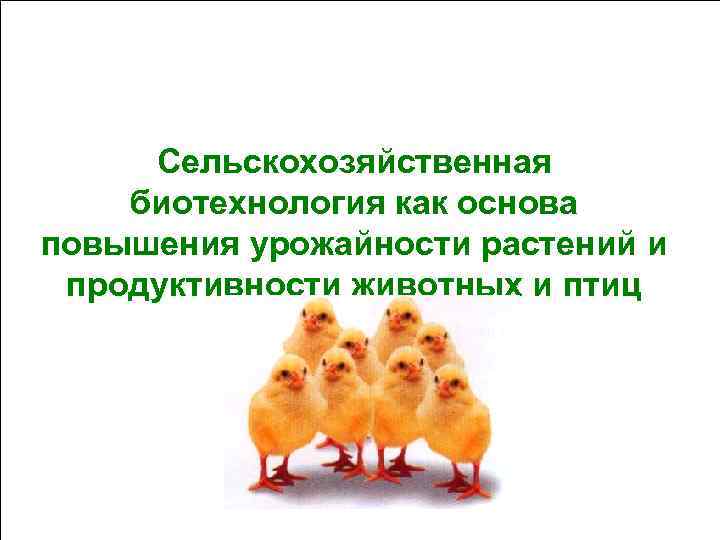 Сельскохозяйственная биотехнология как основа повышения урожайности растений и продуктивности животных и птиц 1 