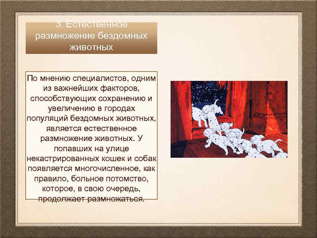 3. Естественное размножение бездомных животных По мнению специалистов, одним из важнейших факторов, способствующих сохранению