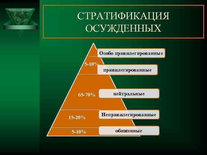 Социальная стратификация схема