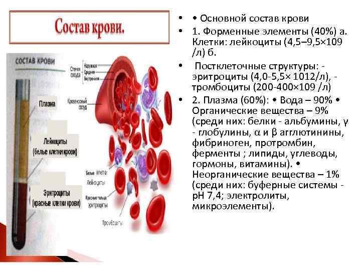  • • Основной состав крови • 1. Форменные элементы (40%) а. Клетки: лейкоциты