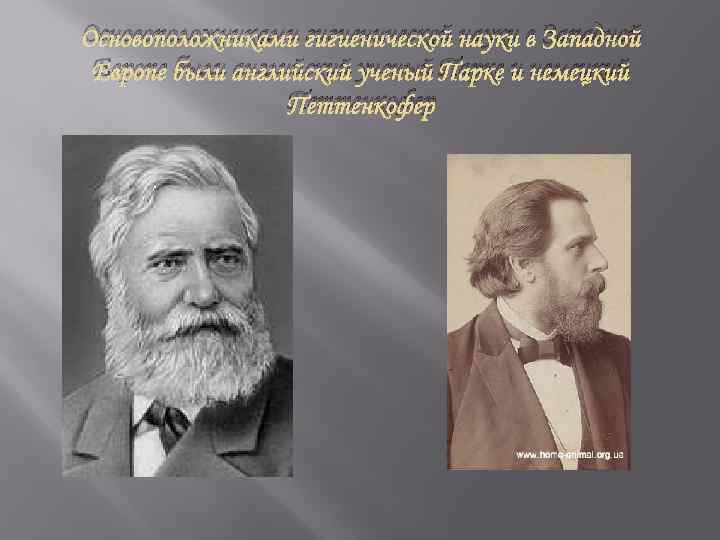 Основоположник науки. Основоположник гигиенической науки. Основоположники Отечественной гигиены. Основоположники Отечественной гигиенической науки. Основоположник научной гигиены.