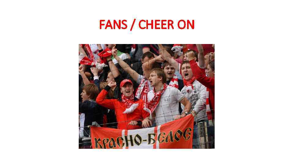 FANS / CHEER ON 