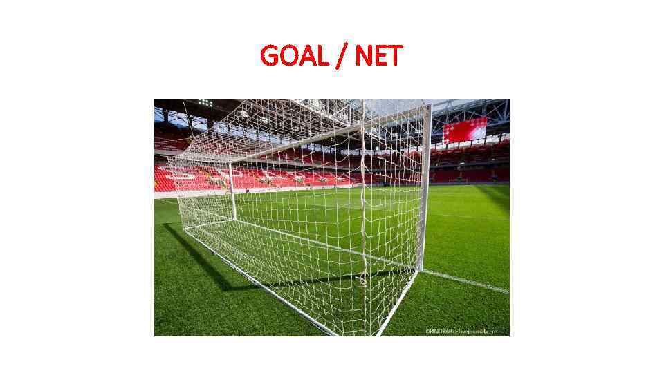 GOAL / NET 