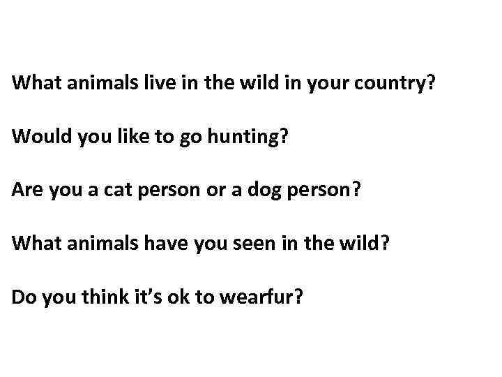 What animals live in the wild in your country? Would you like to go