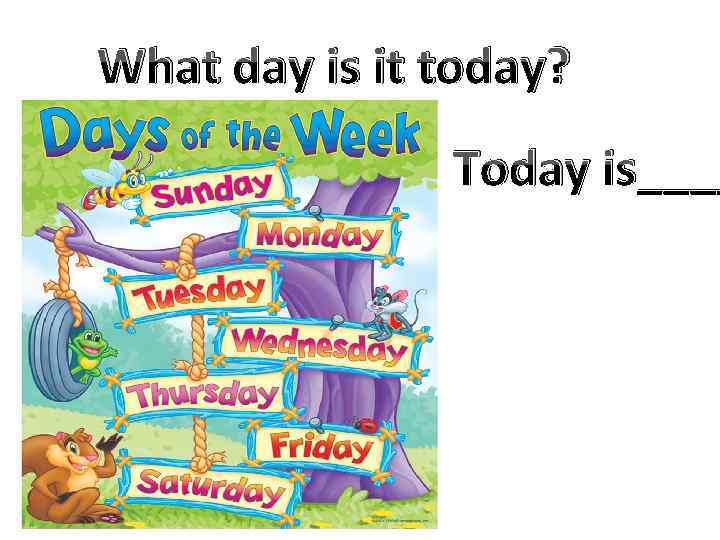 What day is it today? Today is____ 