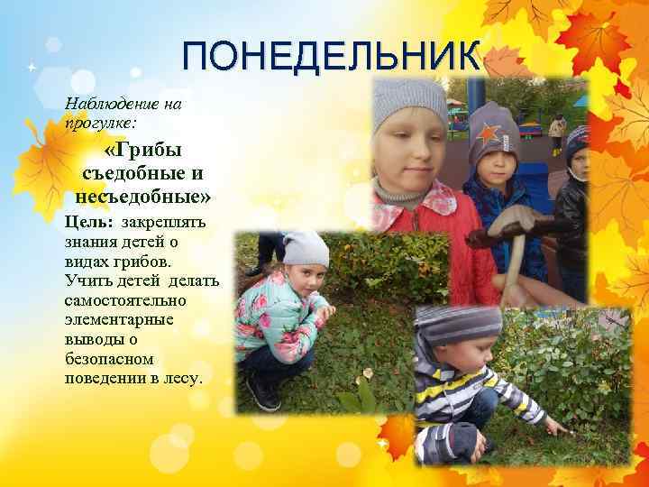 ПОНЕДЕЛЬНИК Наблюдение на прогулке: «Грибы съедобные и несъедобные» Цель: закреплять знания детей о видах