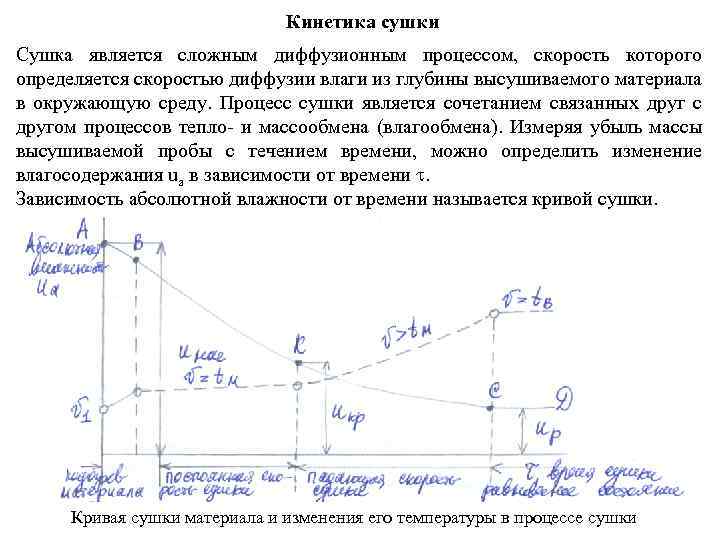 Кинетика сушки Сушка является сложным диффузионным процессом, скорость которого определяется скоростью диффузии влаги из