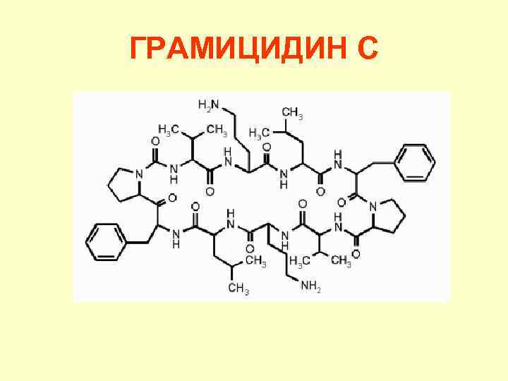 ГРАМИЦИДИН С 