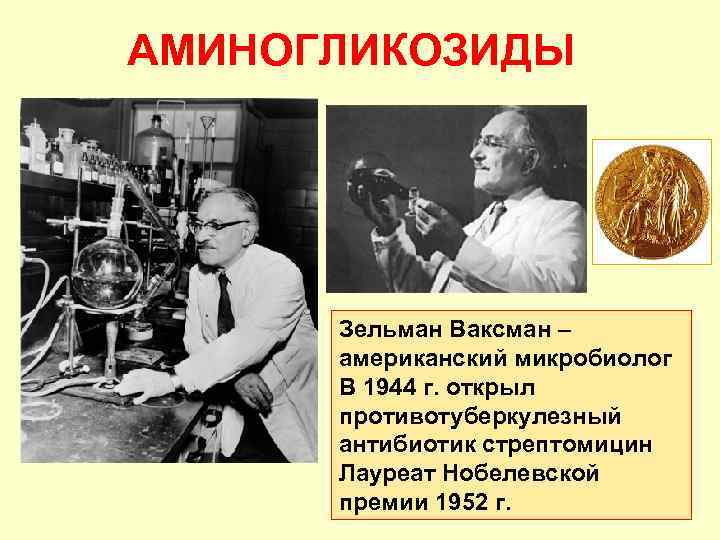 АМИНОГЛИКОЗИДЫ Зельман Ваксман – американский микробиолог В 1944 г. открыл противотуберкулезный антибиотик стрептомицин Лауреат