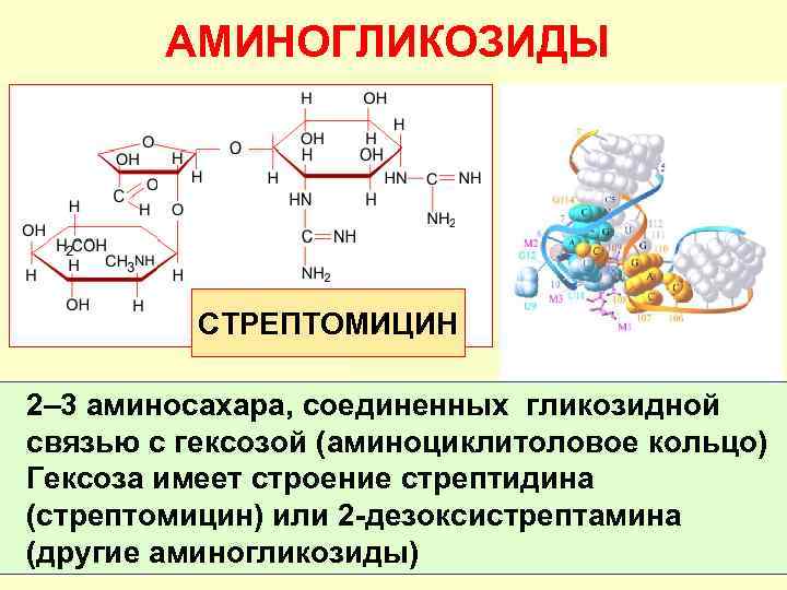 АМИНОГЛИКОЗИДЫ СТРЕПТОМИЦИН 2– 3 аминосахара, соединенных гликозидной связью с гексозой (аминоциклитоловое кольцо) Гексоза имеет