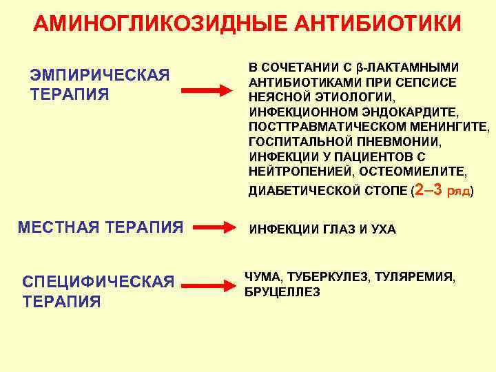 АМИНОГЛИКОЗИДНЫЕ АНТИБИОТИКИ ЭМПИРИЧЕСКАЯ ТЕРАПИЯ В СОЧЕТАНИИ С β-ЛАКТАМНЫМИ АНТИБИОТИКАМИ ПРИ СЕПСИСЕ НЕЯСНОЙ ЭТИОЛОГИИ, ИНФЕКЦИОННОМ