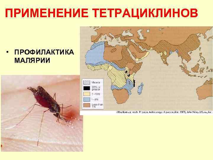 ПРИМЕНЕНИЕ ТЕТРАЦИКЛИНОВ • ПРОФИЛАКТИКА МАЛЯРИИ 
