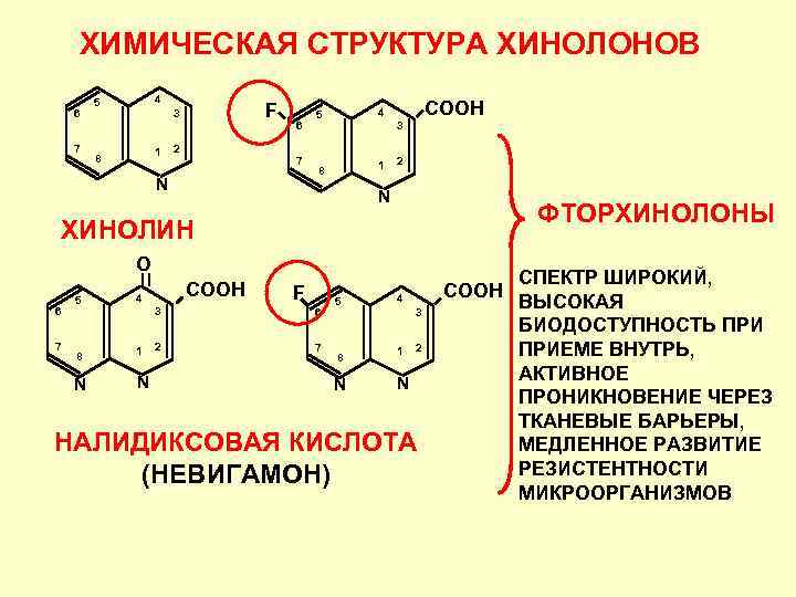 ХИМИЧЕСКАЯ СТРУКТУРА ХИНОЛОНОВ 6 7 4 5 F 3 1 8 6 СООН 4