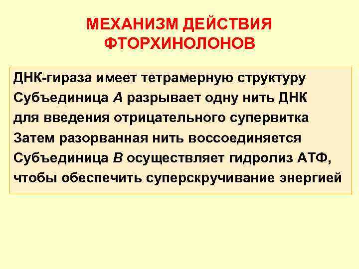МЕХАНИЗМ ДЕЙСТВИЯ ФТОРХИНОЛОНОВ ДНК-гираза имеет тетрамерную структуру Субъединица А разрывает одну нить ДНК для