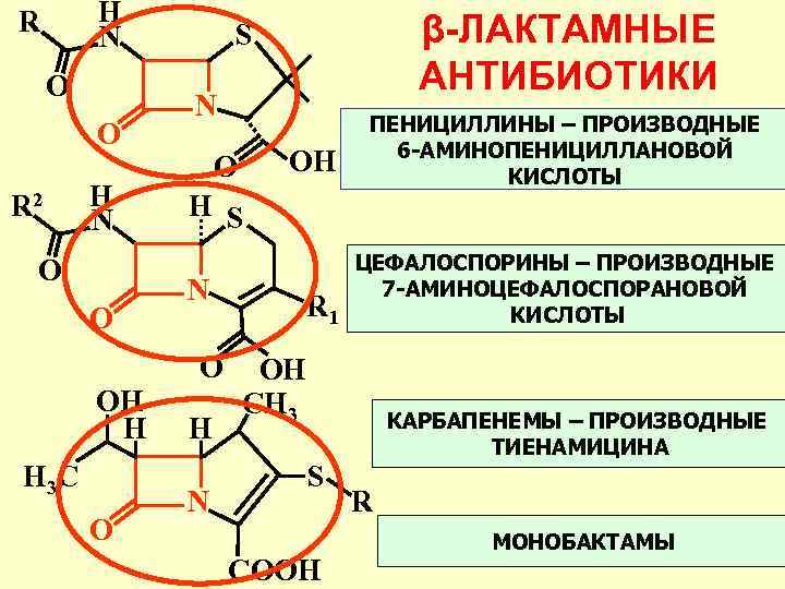 H N R O O R 2 H N O O N H 3
