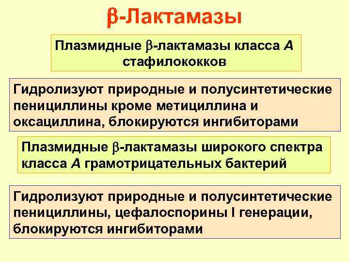  -Лактамазы Плазмидные -лактамазы класса А стафилококков Гидролизуют природные и полусинтетические пенициллины кроме метициллина