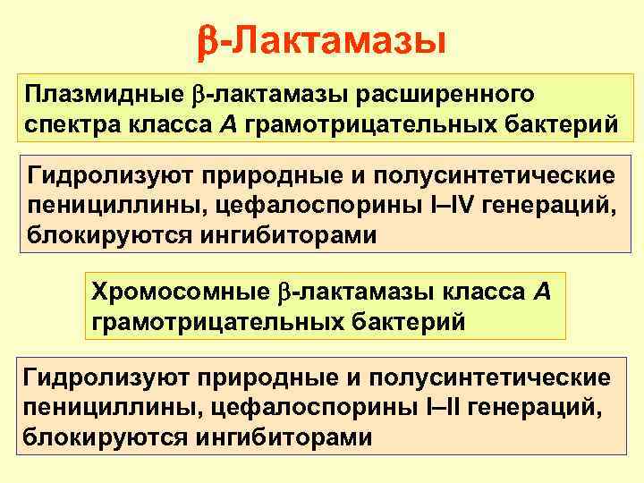  -Лактамазы Плазмидные -лактамазы расширенного спектра класса А грамотрицательных бактерий Гидролизуют природные и полусинтетические