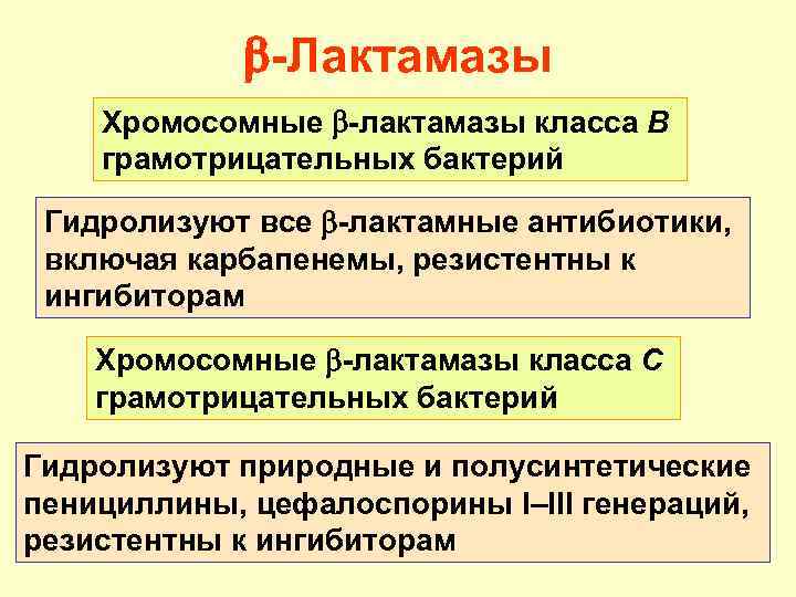  -Лактамазы Хромосомные -лактамазы класса В грамотрицательных бактерий Гидролизуют все -лактамные антибиотики, включая карбапенемы,