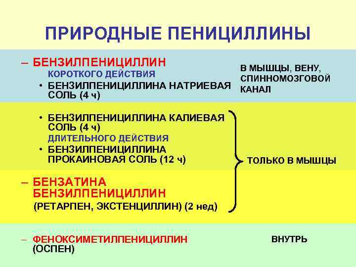 ПРИРОДНЫЕ ПЕНИЦИЛЛИНЫ – БЕНЗИЛПЕНИЦИЛЛИН КОРОТКОГО ДЕЙСТВИЯ • БЕНЗИЛПЕНИЦИЛЛИНА НАТРИЕВАЯ СОЛЬ (4 ч) В МЫШЦЫ,