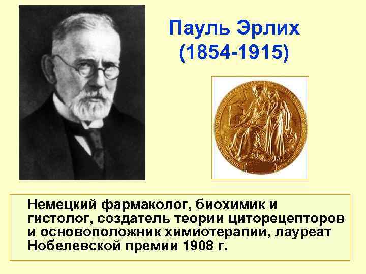 Пауль Эрлих (1854 -1915) Немецкий фармаколог, биохимик и гистолог, создатель теории циторецепторов и основоположник