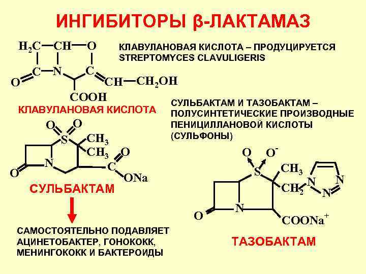 Клавулановая кислота применение. Бета-лактамные антибиотики ингибитор. Ингибиторы β-лактамаз. Ингибиторы бета лактамазы. Ингибиторы б лактамаз.