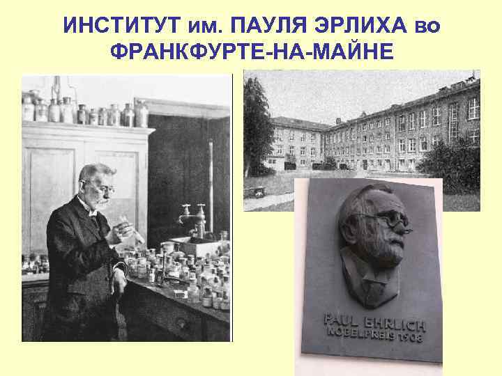 ИНСТИТУТ им. ПАУЛЯ ЭРЛИХА во ФРАНКФУРТЕ-НА-МАЙНЕ 