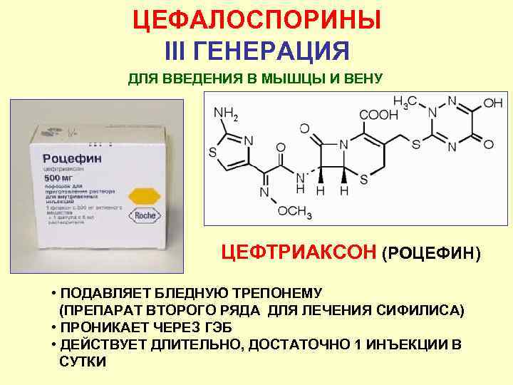 ЦЕФАЛОСПОРИНЫ III ГЕНЕРАЦИЯ ДЛЯ ВВЕДЕНИЯ В МЫШЦЫ И ВЕНУ ЦЕФТРИАКСОН (РОЦЕФИН) • ПОДАВЛЯЕТ БЛЕДНУЮ