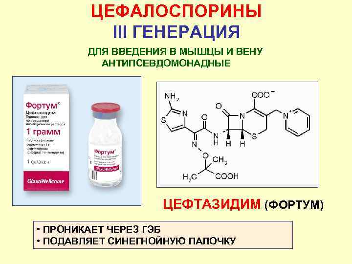 ЦЕФАЛОСПОРИНЫ III ГЕНЕРАЦИЯ ДЛЯ ВВЕДЕНИЯ В МЫШЦЫ И ВЕНУ АНТИПСЕВДОМОНАДНЫЕ ЦЕФТАЗИДИМ (ФОРТУМ) • ПРОНИКАЕТ