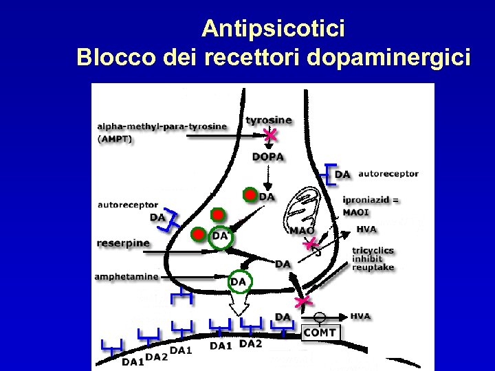 Antipsicotici Blocco dei recettori dopaminergici 