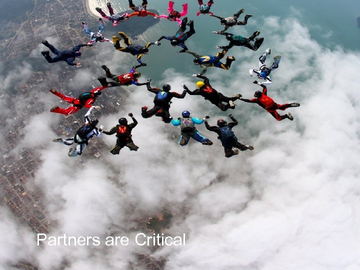 Partners are Critical 2012 © Intellectual Property Institute of Canada 