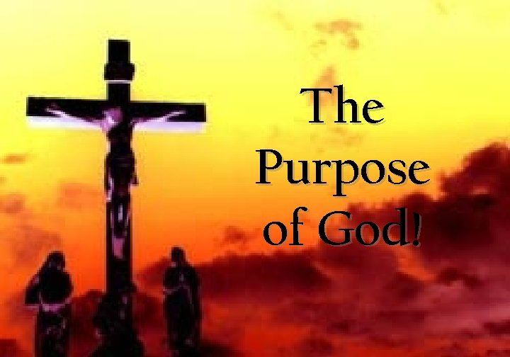 The Purpose of God! 