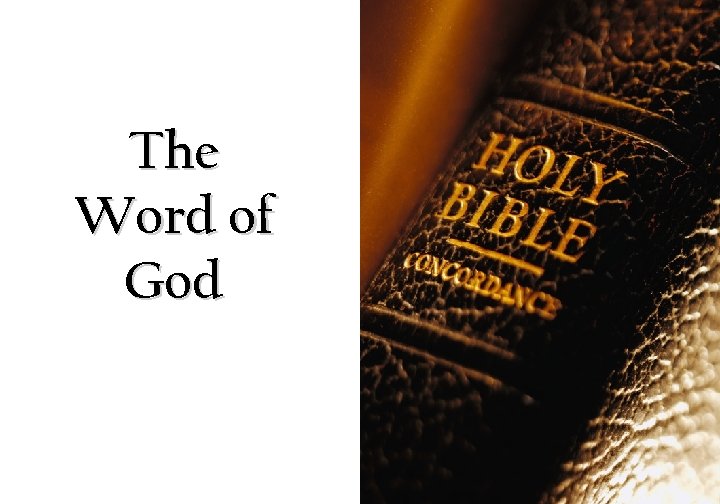The Word of God 