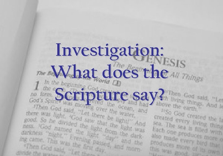 Investigation: What does the Scripture say? 