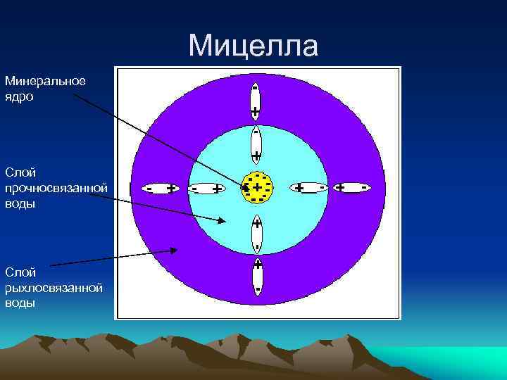 Мицелла Минеральное ядро Слой прочносвязанной воды Слой рыхлосвязанной воды 