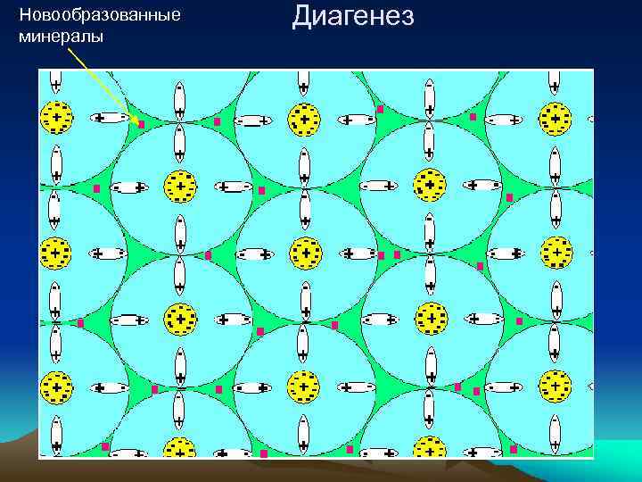 Новообразованные минералы Диагенез 