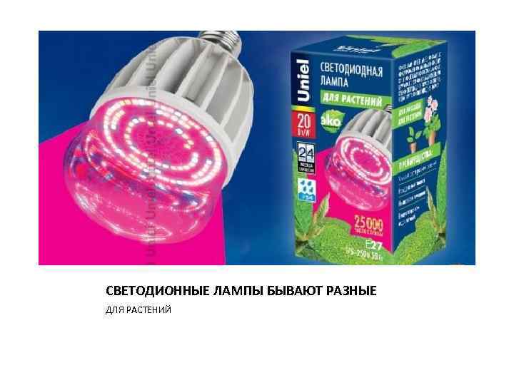 СВЕТОДИОННЫЕ ЛАМПЫ БЫВАЮТ РАЗНЫЕ ДЛЯ РАСТЕНИЙ 