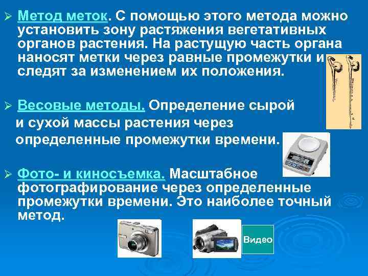 Ø Метод меток. С помощью этого метода можно установить зону растяжения вегетативных органов растения.